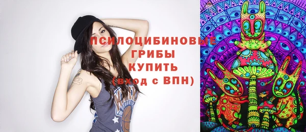 крисы Арсеньев